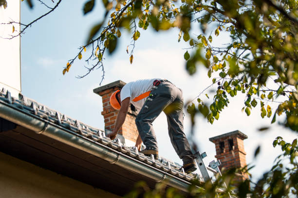Quick and Trustworthy Emergency Roof Repair Services in Port Angeles East, WA